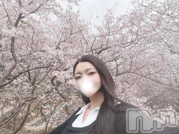 長岡デリヘルROOKIE(ルーキー)つばき☆プラチナ(27)の2026年5月5日写メブログ「再会の春」