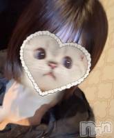 ��� ��Į���ʥå��������륺�С� GIRL��S BAR SHELBY(�����륺�С�������ӡ�)���ҡ�