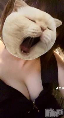��Į���ʥå��������륺�С�GIRL��S BAR SHELBY(�����륺�С�������ӡ�) ���(22)��5��23���̥�֥����ֲƤ���äƤ���🌙��