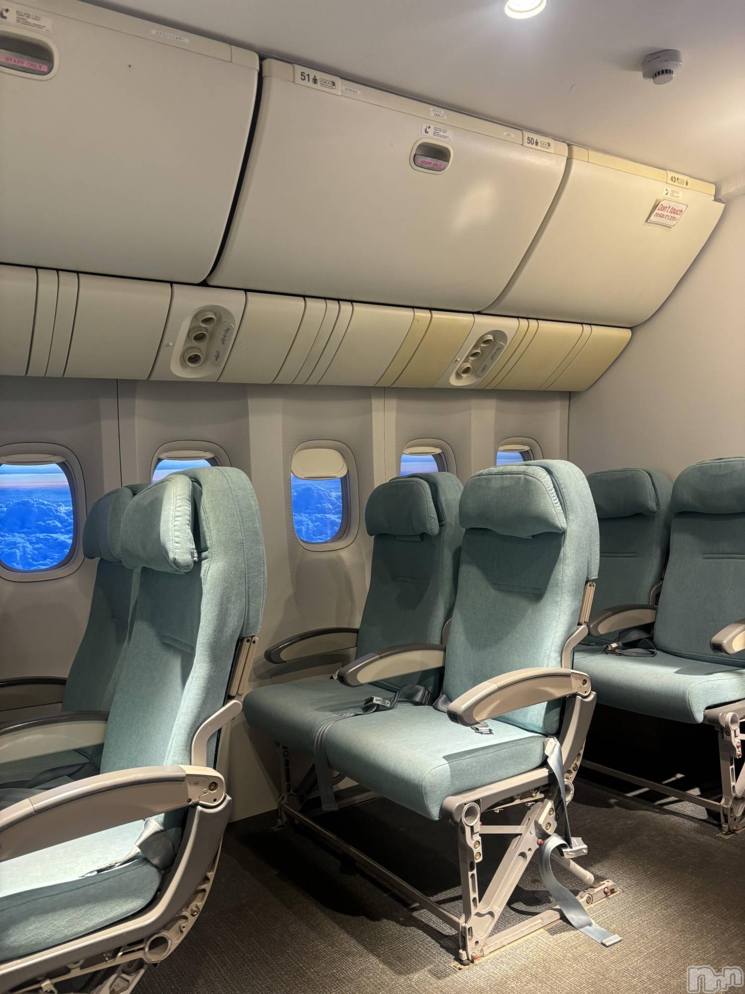 �����������Х��顦�����LYNX(��󥯥�) ��2026ǯ5��29���̥�֥����ֿ������🇰🇷��