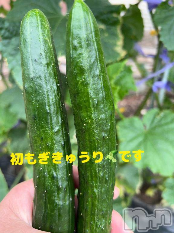 新潟デリヘル五十路マダム新潟店(カサブランカグループ)(イソジマダムニイガタテン)城田ようこ(61)の2026年6月8日写メブログ「今週も始まりました～😆」