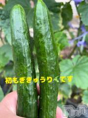 新潟デリヘル五十路マダム新潟店(カサブランカグループ)(イソジマダムニイガタテン) 城田ようこ(61)の6月8日写メブログ「今週も始まりました～😆」