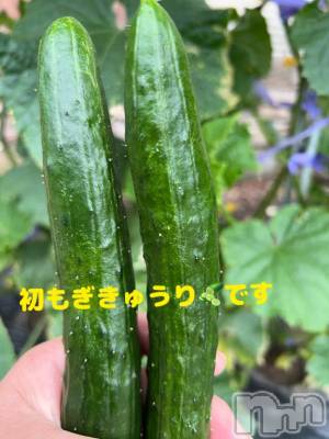 新潟デリヘル 五十路マダム新潟店(カサブランカグループ)(イソジマダムニイガタテン) 城田ようこ(61)の6月8日写メブログ「今週も始まりました～😆」