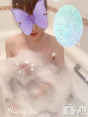 はじめまして🌼*･