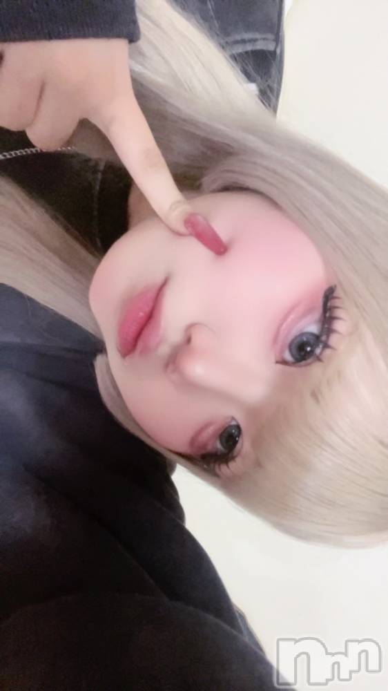 ��Į���ʥå��������륺�С�L'asile(�饸����) ����6��1���̥�֥������ĥ��饳���