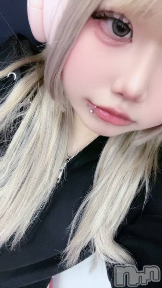 ��Į���ʥå��������륺�С�L'asile(�饸����) ����6��2���̥�֥����֥ԥ������������