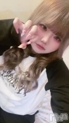 ��Į���ʥå��������륺�С� L'asile(�饸����) ���β���(1����)