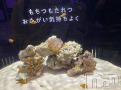 新潟ソープ新潟バニーコレクション(ニイガタバニーコレクション) アミ(22)の9月15日写メブログ「今度こそおやすみなさい😴🌙」