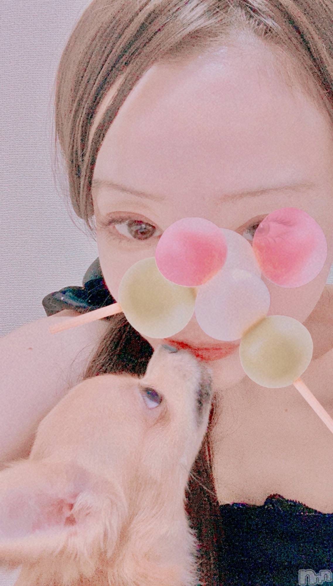 �����������Х��顦����ֽϽ�����Х��� Lips(���奯���祭��Х����åץ�) ��2026ǯ5��14���̥�֥����֤���������