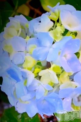 �����������Х��顦����ֽϽ�����Х��� Lips(���奯���祭��Х����åץ�) �ꤺ����6��26���̥�֥����ֱ������Τ�˫��🐌��