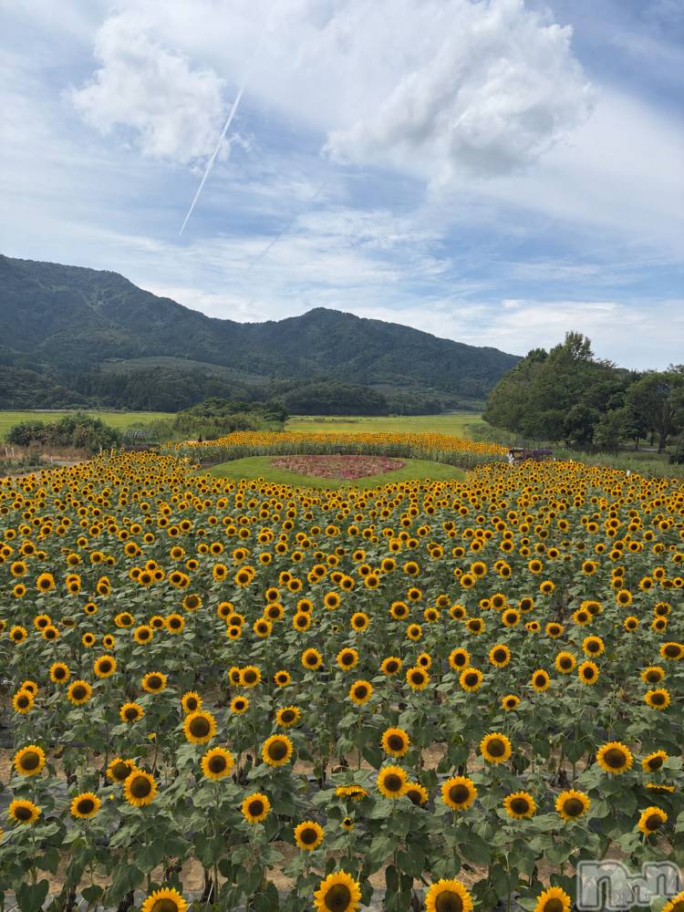 ��Į����Х��顦�����V-niigata-(�֥��˥�����) ������8��26���̥�֥����ֲ�����blog🪄��