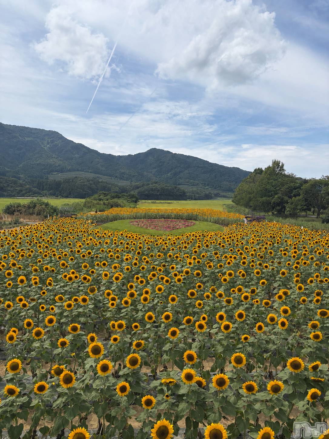 ��Į����Х��顦�����V-niigata-(�֥��˥�����) ��2026ǯ8��26���̥�֥����ֲ�����blog🪄��