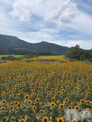 ��Į����Х��顦�����V-niigata-(�֥��˥�����) ������8��26���̥�֥����ֲ�����blog🪄��