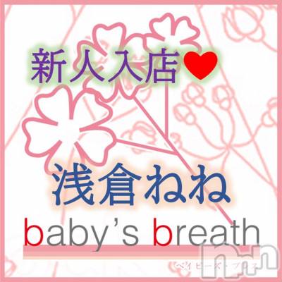 浅倉ねね【新人】(ヒミツ) スリーサイズB().W.H。新潟メンズエステ baby's breath(ベイビーズブレス)在籍。
