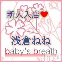浅倉ねね【新人】