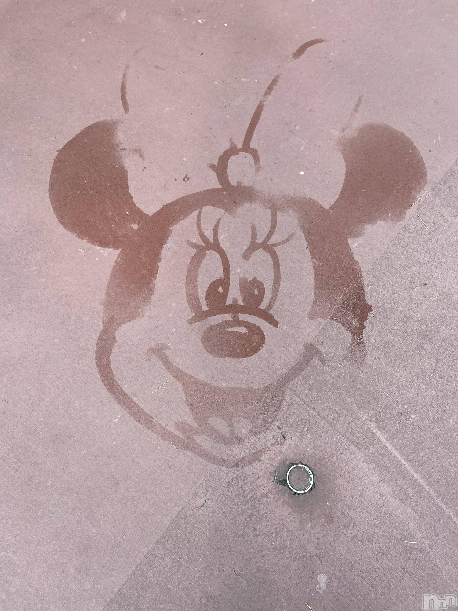 ����������ʥå��������륺�С�JEUNESSE(����ͥ�) ��2026ǯ7��19���̥�֥����� Disney��������🏰🐭��