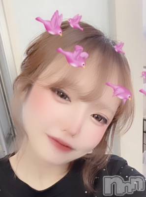 ���(27) ��Ĺ155cm��ľ���ť��ʥå��������륺�С� LOUNGE SAINT(�������)���ҡ�