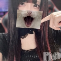 ������&���饪��BAR  L  STYLE