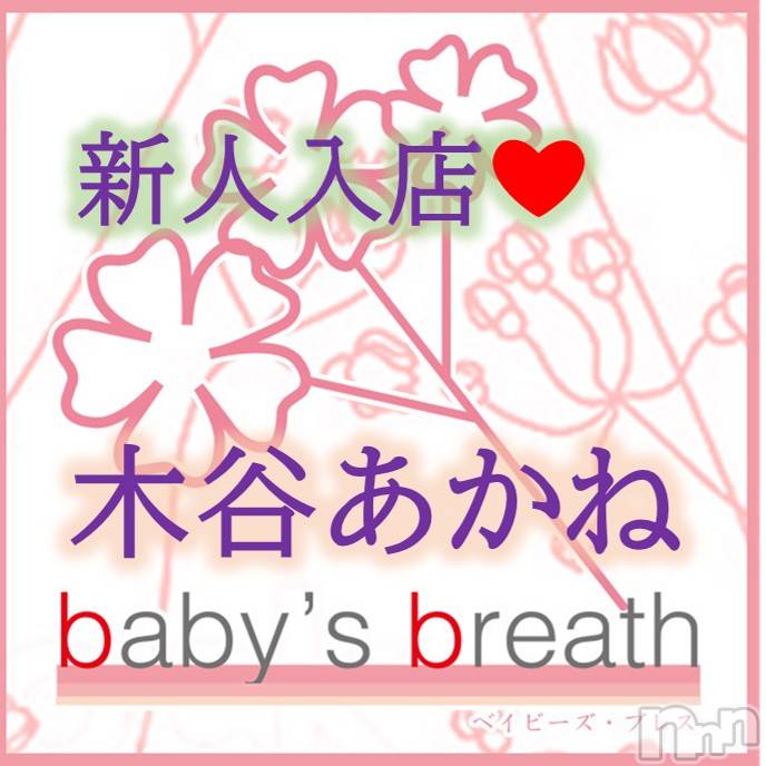 木谷あかね【新人】