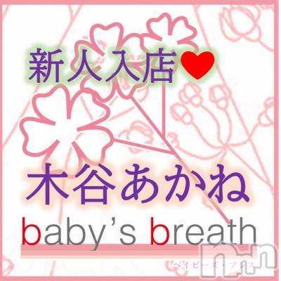 木谷あかね【新人】(ヒミツ) スリーサイズB().W.H。新潟メンズエステ baby's breath(ベイビーズブレス)在籍。