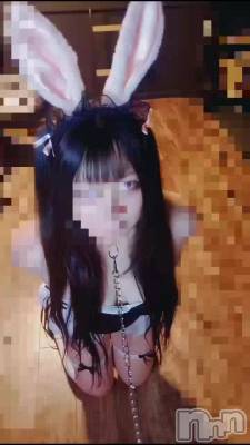 お散歩うさメイド🐰