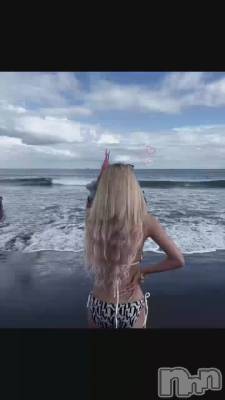 ����🩵🐬