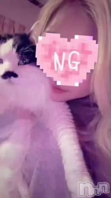 �����Υ����ɥ�🐱💗