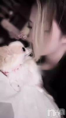 ����������ô��🐶💖