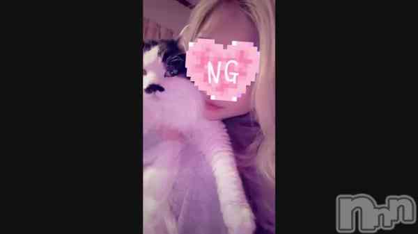 �֤����Υ����ɥ�🐱💗��