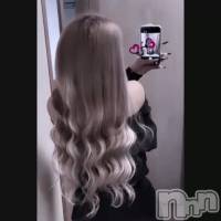 �������Ԥ���������☀️