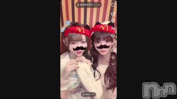 �֏�����ʚ(꒪ˊ꒳ˋ꒪)ɞ��������