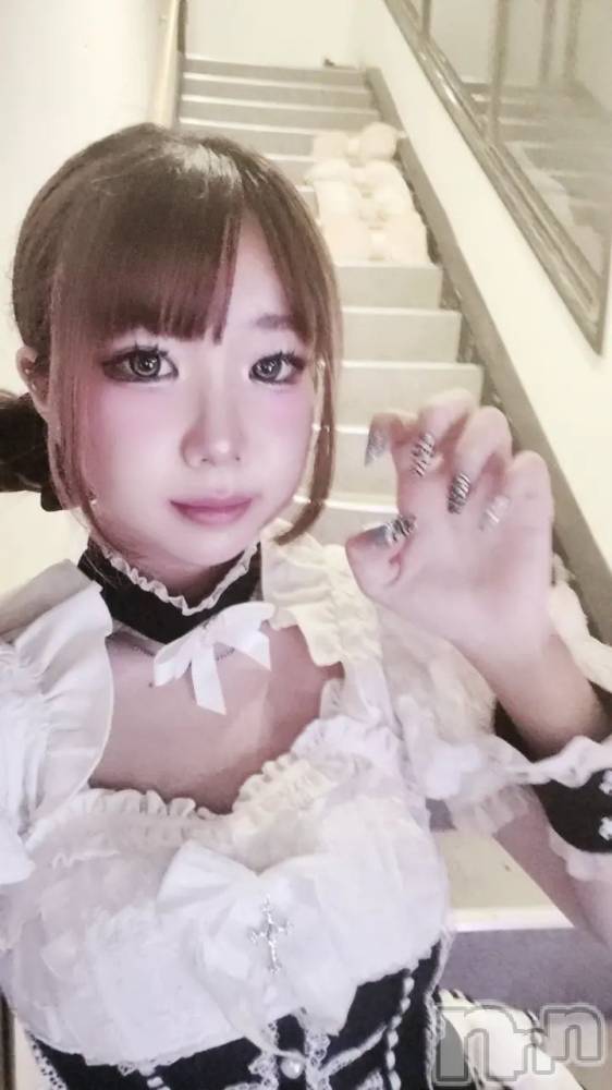 ����������ʥå��������륺�С�LAPLUS(��ץ饹) �椢��8��6���̥�֥����ֲƥͥ���🌊��