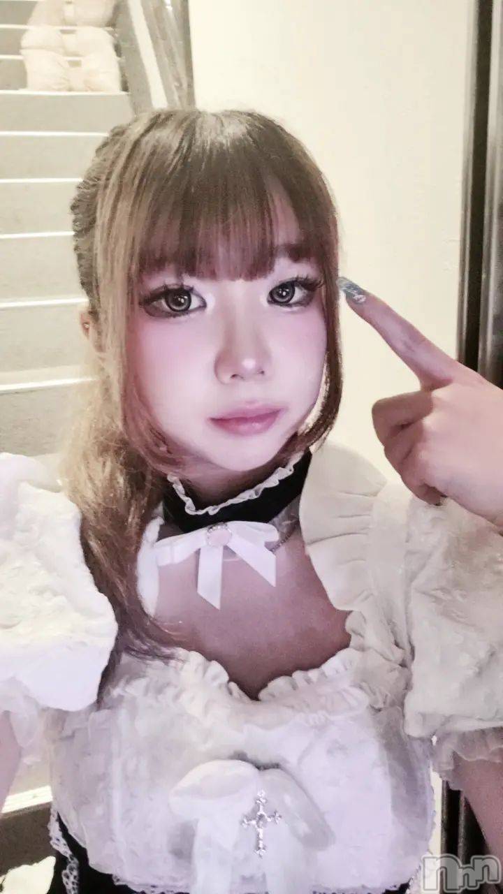 ����������ʥå��������륺�С�LAPLUS(��ץ饹) ��2026ǯ8��5���̥�֥�������ȱ��