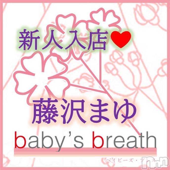 藤沢まゆ【新人】