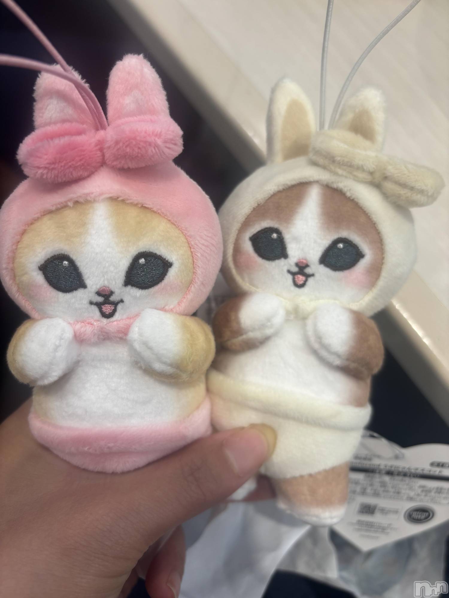 上越デリヘルらぶらぶ　地域密着!!地元新潟女性と会える店(ラブラブ)【新人】のあ☆愛されEカップ少女(23)の2026年6月21日写メブログ「モフサンド❤️」
