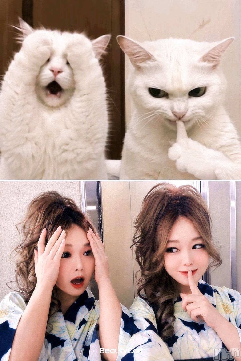 ��Ʋ���ʥå��������륺�С����ʥå��ꤢ��(���ʥå��ꥢ��) ��2026ǯ8��10���̥�֥����ֳ���������ͤǤ���(^o^)����