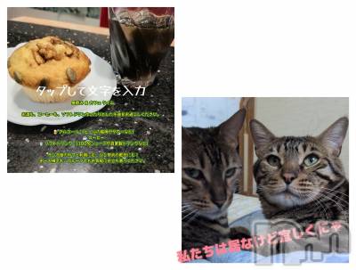 ��Ʋ���ʥå��������륺�С����ʥå��ꤢ��(���ʥå��ꥢ��) ���ä�6��18���̥�֥����֤��Ϥ褦�����ޤ��ޤ���(^o^)����