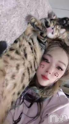 ���꤬�Ȥ��Ȥ������ޤ�����(^o^)��