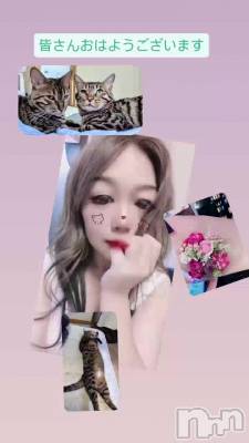 ���Ϥ褦�����ޤ��ޤ���(^o^)�������ϣ�����Ⱦ������ĶȤ��ޤ�