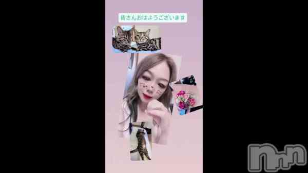 �֤��Ϥ褦�����ޤ��ޤ���(^o^)�������ϣ�����Ⱦ������ĶȤ��ޤ���