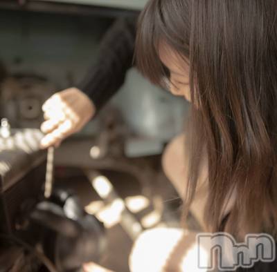 ��Ʋ����Х��顦�����151-A(������������) �⤨��7��1���̥�֥����ֽж�✨��