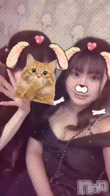 ����ˡ���🐱