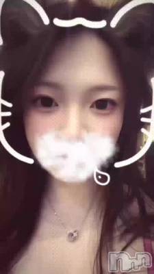 �Ϥ���Ƥ�🐱