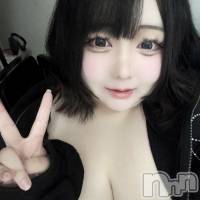 新人　なのか