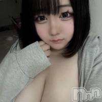 新人　なのか