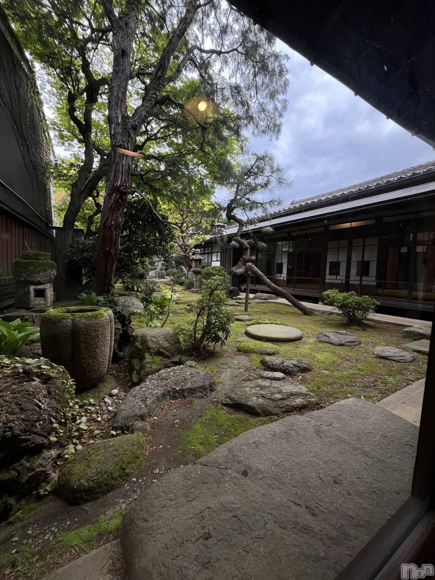 ��Į����Х��顦�����V-niigata-(�֥��˥�����) ��2026ǯ10��26���̥�֥������¡�