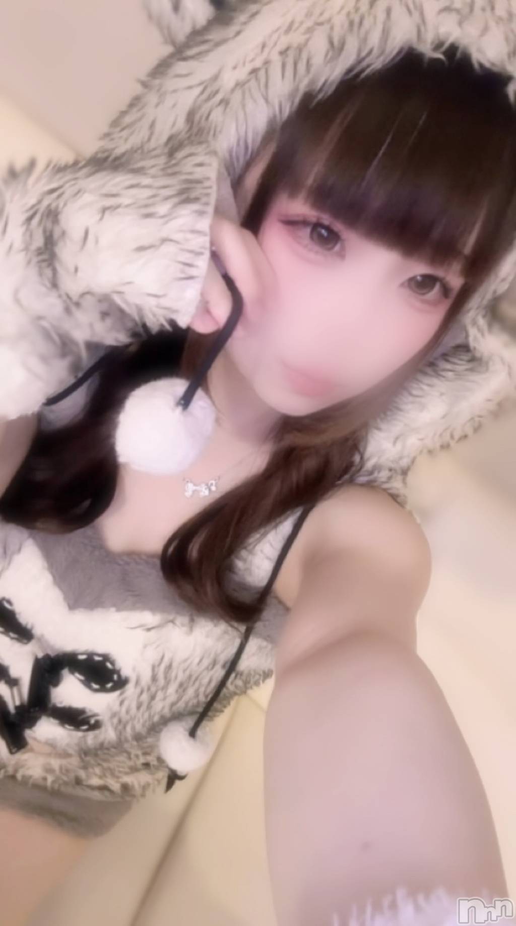 ����������ʥå��������륺�С����󥻥ץȥ��ե� ���ˤޤ����(���󥻥ץȥ��ե����˥ޥ륭�奦�ǥ�) ��2026ǯ6��13���̥�֥����֤�ա�