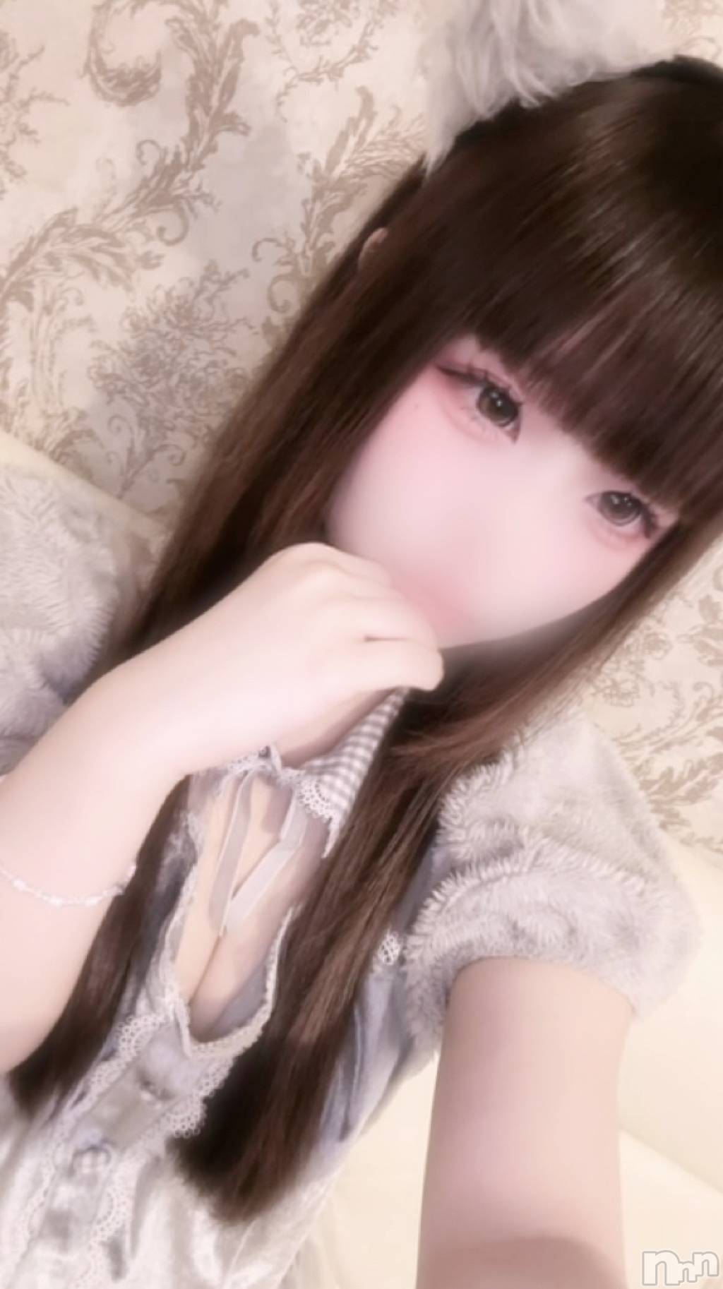����������ʥå��������륺�С����󥻥ץȥ��ե� ���ˤޤ����(���󥻥ץȥ��ե����˥ޥ륭�奦�ǥ�) ��2026ǯ6��14���̥�֥����ֶ�������������