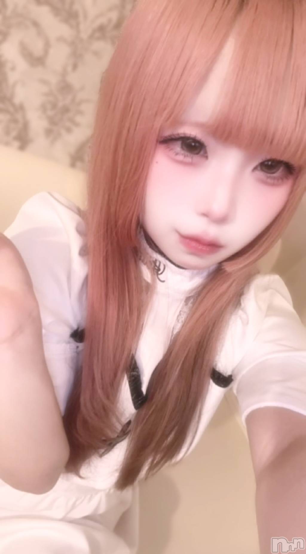 ����������ʥå��������륺�С����󥻥ץȥ��ե� ���ˤޤ����(���󥻥ץȥ��ե����˥ޥ륭�奦�ǥ�) ��2026ǯ9��19���̥�֥����֤�^>��<^��🍆��