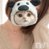 �椭��